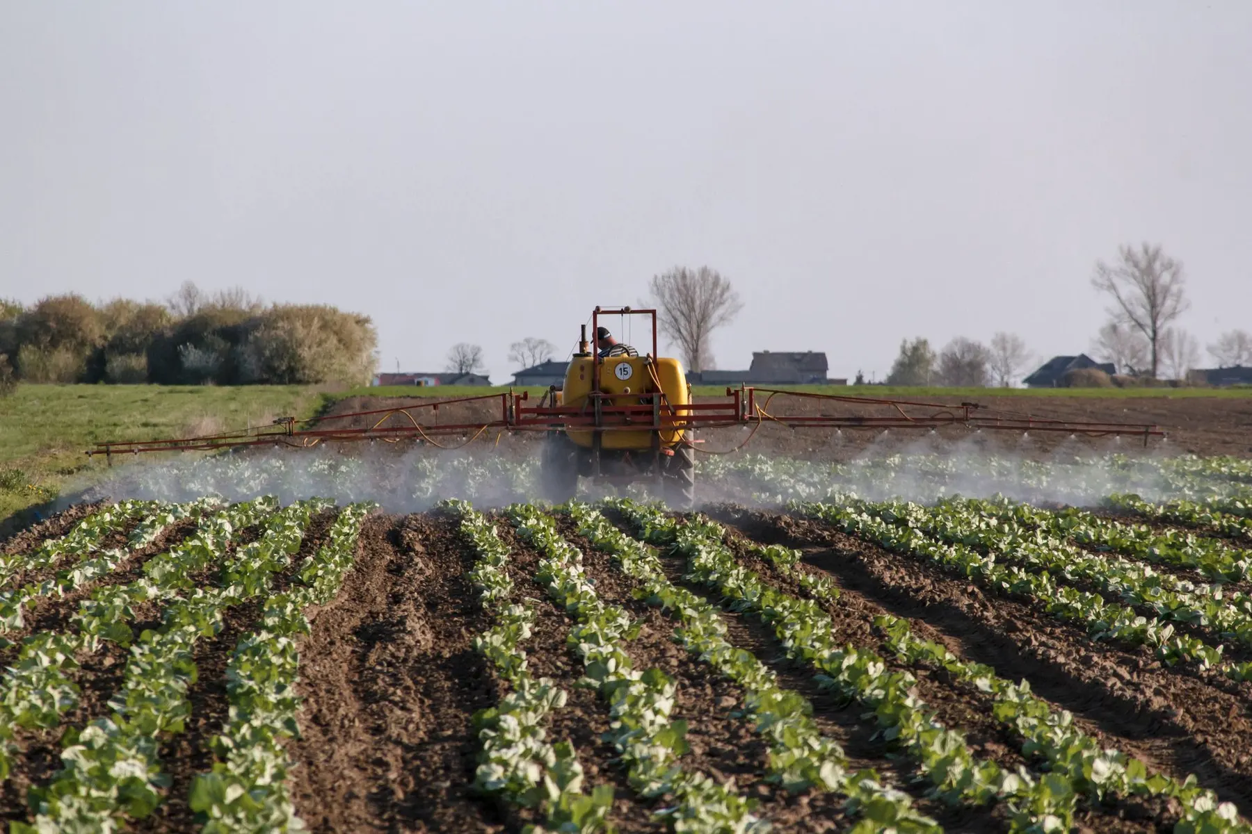 Veldspuit met uitgeklapte spuitboom boven een graanveld